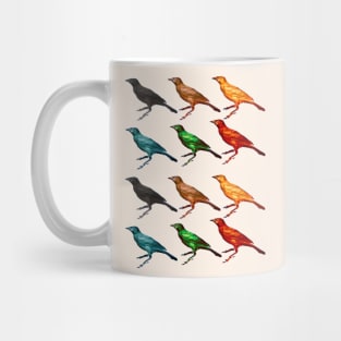 Colorful Birds Mug